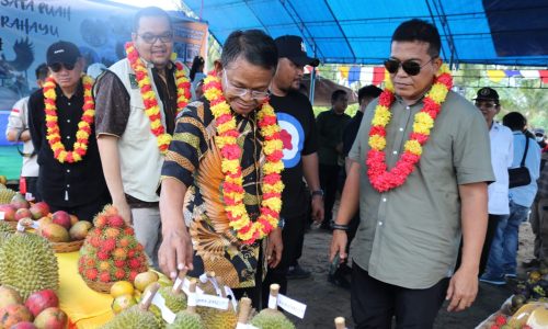 Luncurkan Destinasi Agrowisata Durian Parigi Moutong, Gubernur Sulteng Sampaikan ini