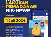 Pemadanan NIK dan NPWP Wujudkan Administrasi Perpajakan yang Efektif