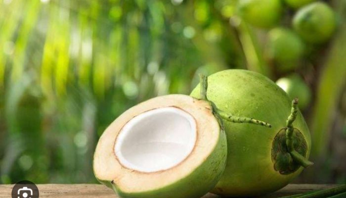 Air Kelapa, Segar dan Bisa Jadi Pilihan Saat Berbuka Puasa