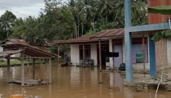 BPBD Parigi Moutong Respon Cepat Banjir di Kecamatan Ongka Malino
