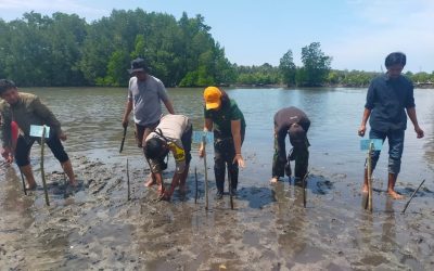 2.000 Bibit Mangrove Ditanam di Oncone Raya, Parigi Moutong Tetapkan Kawasan Edukasi Pesisir