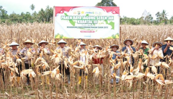 Polres Parigi Moutong dan Petani Panen Raya Jagung: Bukti Kolaborasi Positif