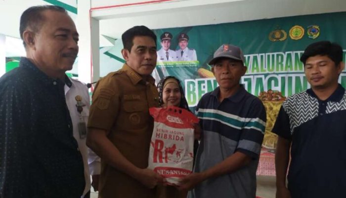 Benih Jagung Disalurkan, Parigi Moutong Percepat Modernisasi Pertanian