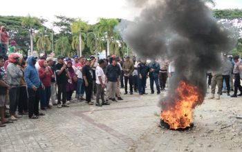 Pemutusan Rumpon Nelayan Jadi Perhatian Serius Pemda Parigi Moutong