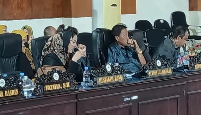Pelayanan RS Tinombo Dikeluhkan, DPRD Sebut Program Kesehatan Gratis Belum Merata
