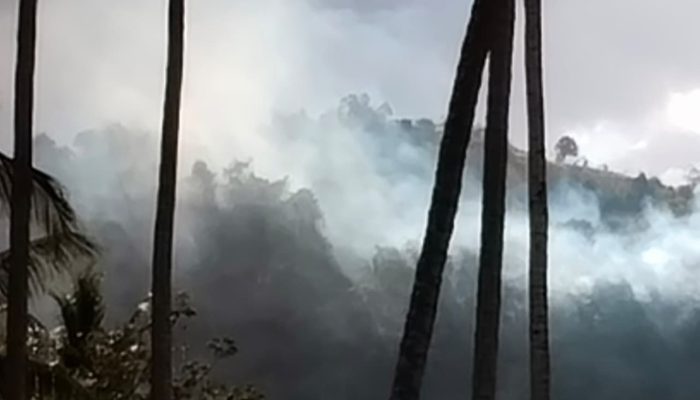 Parigi Moutong Siaga Darurat Usai 22 Kasus Karhutla Terjadi dalam Sebulan