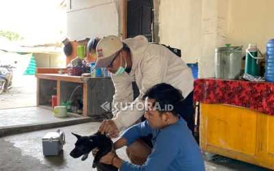 DISPKH Parimo Ajak Warga Aktif Cegah Rabies Lewat Imunisasi Rutin