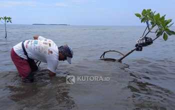 Aksi Tanam Mangrove di Parigi Jadi Peringatan Hari Bumi 2026
