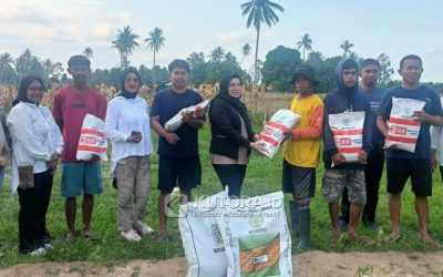 Dukung Produktivitas Petani, Selpina Basrin Serahkan Bantuan Bibit Jagung di Lobu Mandiri