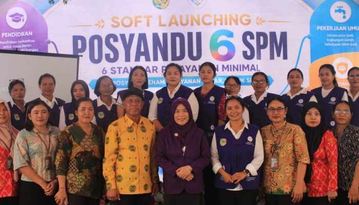 Enam Layanan Dasar Hadir di Posyandu, Parigi Moutong Perkuat Pelayanan Hingga Desa