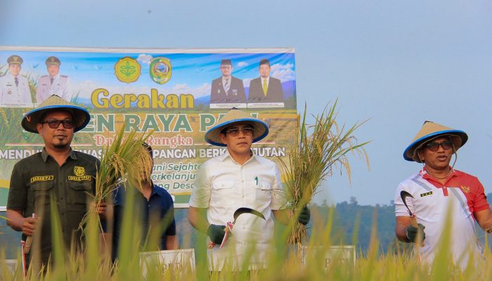 Panen Raya di Balinggi, Bupati Erwin Ajak Petani Tingkatkan Produktivitas Pertanian