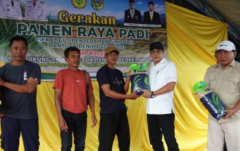 7.553 Petani Jadi Sasaran Bantuan Benih M70D di Parigi Moutong