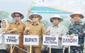 Perkuat Swasembada Pangan, BRMP Sulteng Dorong Modernisasi Budidaya Padi