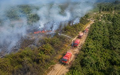 Parigi Moutong Perkuat Penanganan Kekeringan dan Karhutla Hadapi Cuaca Ekstrem