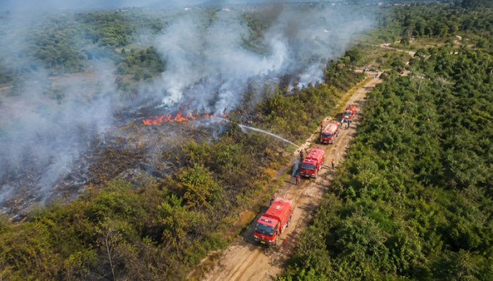 Parigi Moutong Perkuat Penanganan Kekeringan dan Karhutla Hadapi Cuaca Ekstrem