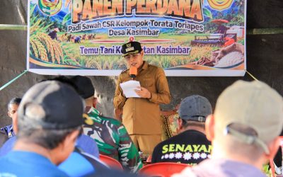 Erwin Burase: Bukan Hanya Cetak Sawah, Produktivitas Lahan Harus Dijaga